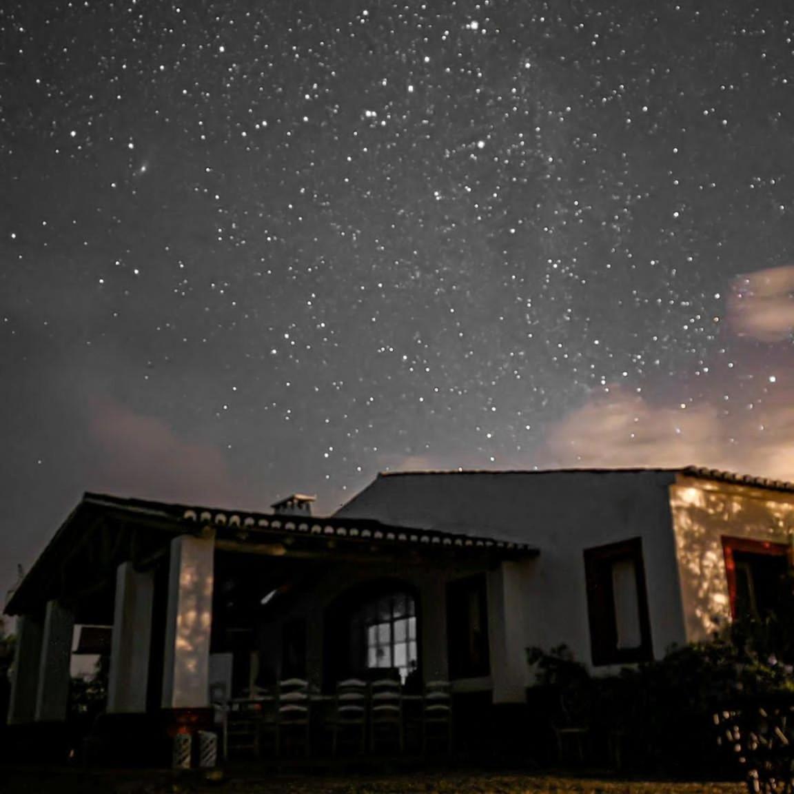 Hotel Quinta Da Chamine Ferreira Do Alentejo Zewnętrze zdjęcie