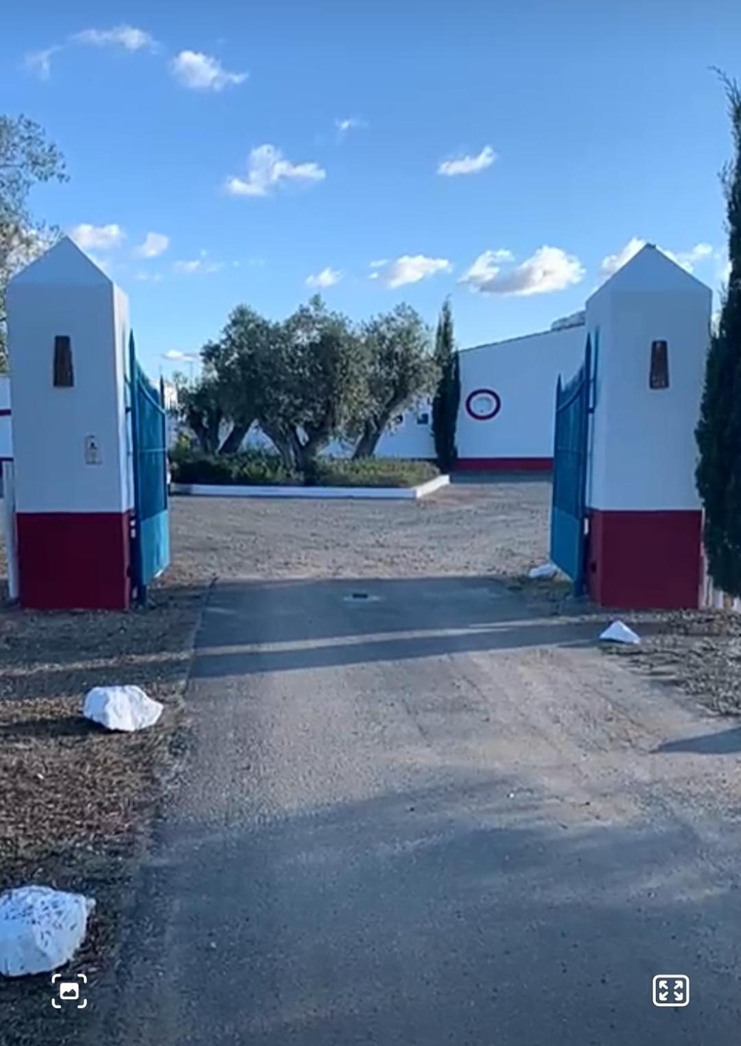 Hotel Quinta Da Chamine Ferreira Do Alentejo Pokój zdjęcie