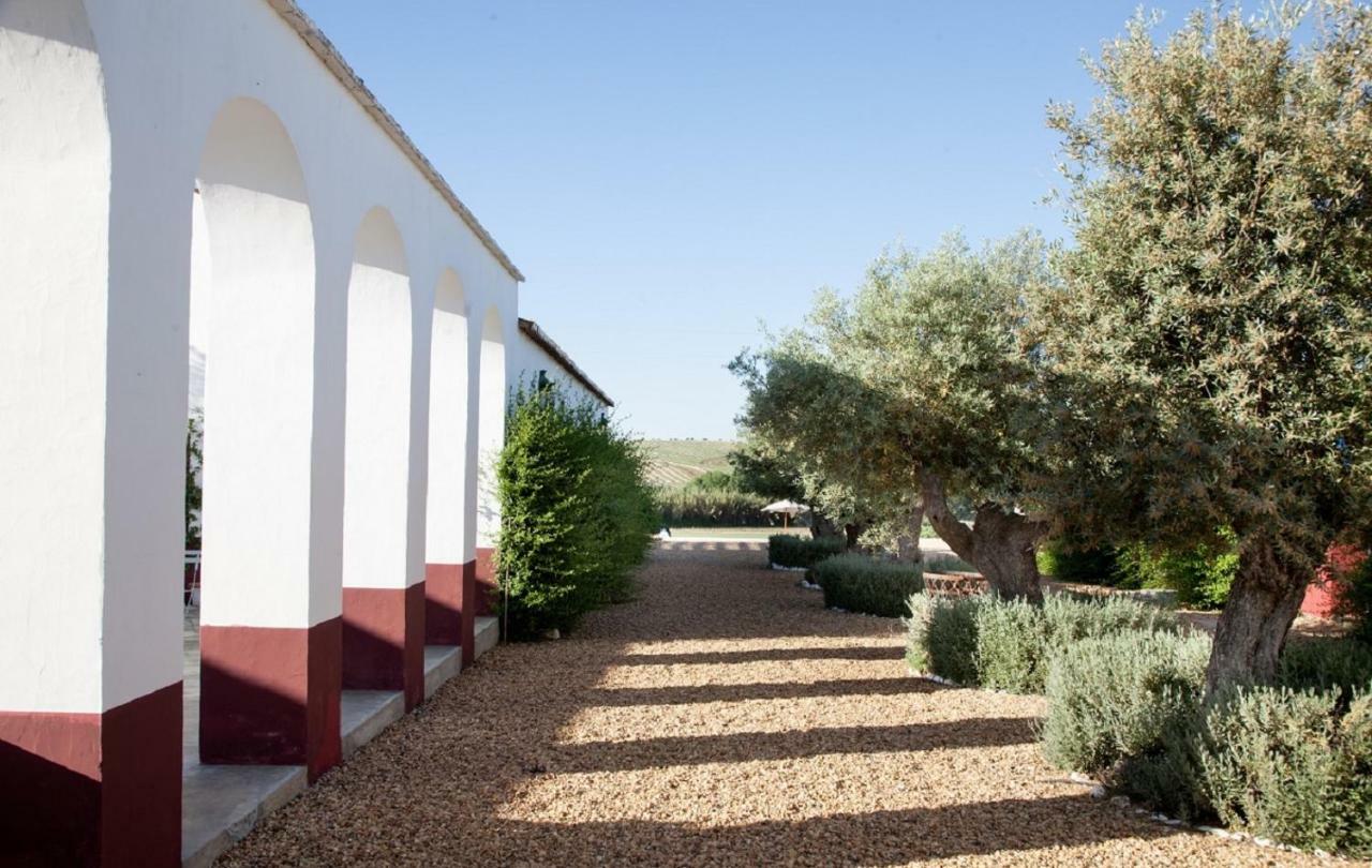 Hotel Quinta Da Chamine Ferreira Do Alentejo Zewnętrze zdjęcie